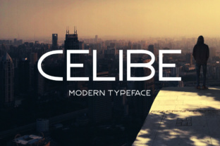 Celibe: A Versatile Tool for All