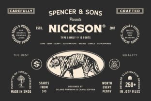 Discover the Power of Nickson: A Comprehensive Guide