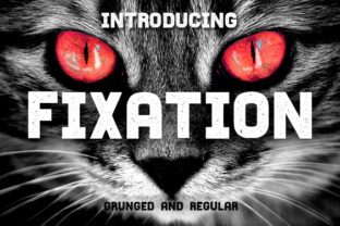 Fixation: A Deep Dive into Its Value and Utility