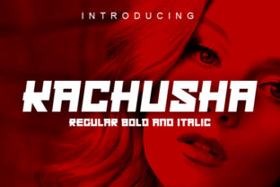 Kachusha: The Emerging Force Redefining Modern Work and Creativity