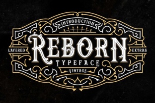 Reborn: A Comprehensive Review for Modern Professionals