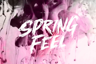 Springfeel: A Strategic Tool for Better Decision-Making and Results