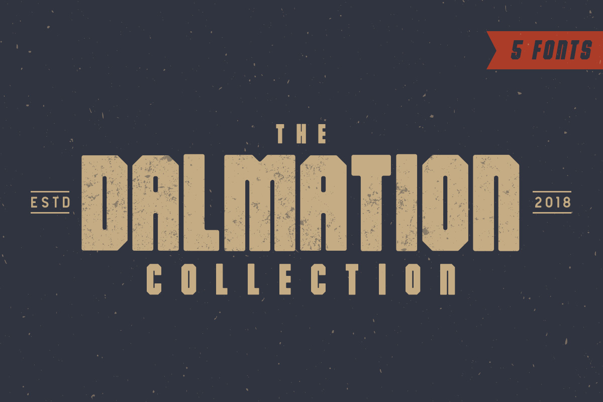 The Dalmation: A Strategic Tool for Better Decision-Making and Results