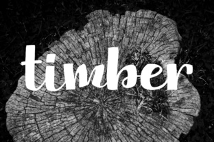 Timber and Its Role in Modern Construction and Design