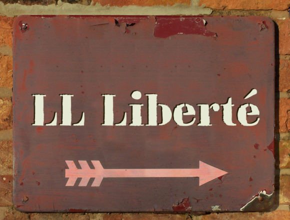 Understanding LL Liberte: A Comprehensive Evaluation